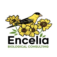 Encelia Biological Consulting logo, Encelia Biological Consulting contact details