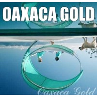 Oaxaca Gold logo, Oaxaca Gold contact details