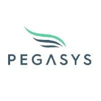 PegaSys Protocol Engineering logo, PegaSys Protocol Engineering contact details