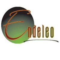 The Endeleo Institute logo, The Endeleo Institute contact details