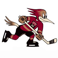 Tucson Roadrunners logo, Tucson Roadrunners contact details