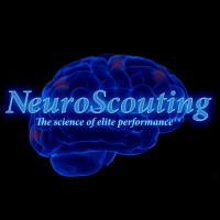 NeuroScouting logo, NeuroScouting contact details