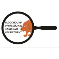 Bloodhound Professional Candidate Recruitment Ltd logo, Bloodhound Professional Candidate Recruitment Ltd contact details