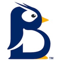 BluePenguin Payments logo, BluePenguin Payments contact details