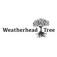 Weatherhead Tree Services logo, Weatherhead Tree Services contact details