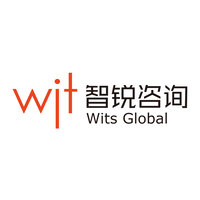 Wits Global Consulting Co., Ltd logo, Wits Global Consulting Co., Ltd contact details