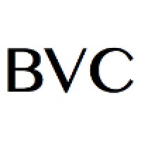 Bright Vision Consulting logo, Bright Vision Consulting contact details