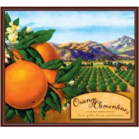 Orange Clementine logo, Orange Clementine contact details