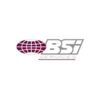 BSI Services Trinidad logo, BSI Services Trinidad contact details