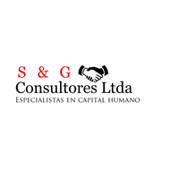 S&G Consultores logo, S&G Consultores contact details