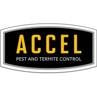 Accel Pest & Termite Control logo, Accel Pest & Termite Control contact details