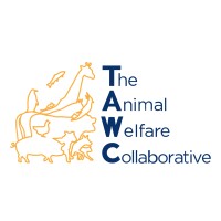 The Animal Welfare Collaborative logo, The Animal Welfare Collaborative contact details