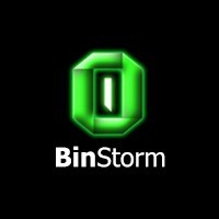 BinStorm | Data Science logo, BinStorm | Data Science contact details