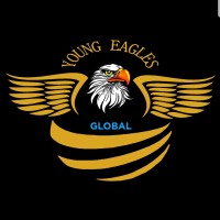 Young Eagles Global logo, Young Eagles Global contact details