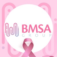 BMSA GROUP MX logo, BMSA GROUP MX contact details