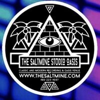 The Saltmine Studio Oasis logo, The Saltmine Studio Oasis contact details