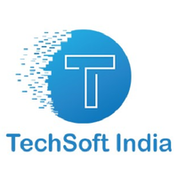 TechSoft INDIA logo, TechSoft INDIA contact details