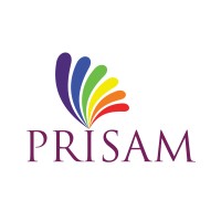 Prisam Infotech Pvt. Ltd logo, Prisam Infotech Pvt. Ltd contact details