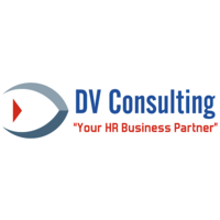 DV Consulting Mx logo, DV Consulting Mx contact details