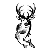 BUCK N BASS logo, BUCK N BASS contact details