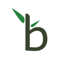 Bamboo Skill Building Solutions logo, Bamboo Skill Building Solutions contact details