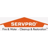 SERVPRO OF WINTER HAVEN logo, SERVPRO OF WINTER HAVEN contact details