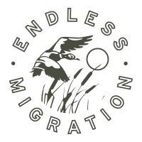 Endless Migration logo, Endless Migration contact details