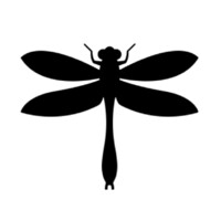 The Biodiversity Project logo, The Biodiversity Project contact details