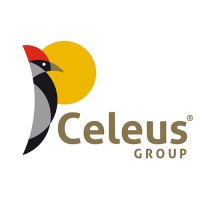 Constructora Celeus Group logo, Constructora Celeus Group contact details