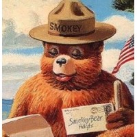 The Smokey Wire: National Forest News and Views logo, The Smokey Wire: National Forest News and Views contact details