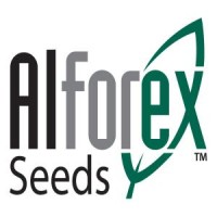 ALFOREX SEEDS LLC logo, ALFOREX SEEDS LLC contact details