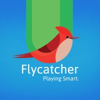 Flycatcher Toys logo, Flycatcher Toys contact details