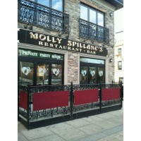 Molly Spillane's logo, Molly Spillane's contact details