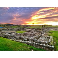 THE VINDOLANDA TRUST logo, THE VINDOLANDA TRUST contact details