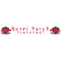 Berri Patch Preschool logo, Berri Patch Preschool contact details