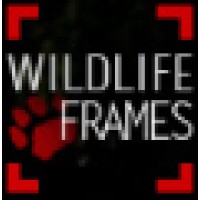 Wildlife Frames logo, Wildlife Frames contact details