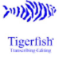 Tigerfish Transcription logo, Tigerfish Transcription contact details