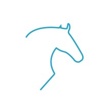 Stallions ERP logo, Stallions ERP contact details