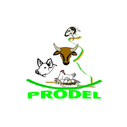 PRODEL logo, PRODEL contact details