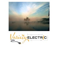 Variety Electric Ltd. logo, Variety Electric Ltd. contact details