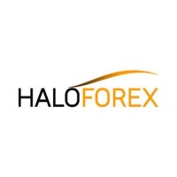 HaloForex logo, HaloForex contact details