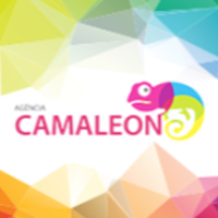 Camaleon logo, Camaleon contact details