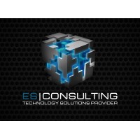 ES Consulting, Inc logo, ES Consulting, Inc contact details