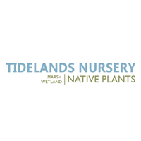 Tidelands Nursery logo, Tidelands Nursery contact details