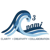 C3nami logo, C3nami contact details