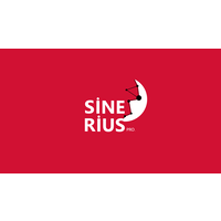 Sinerius logo, Sinerius contact details