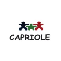 Capriole Financial Advisors Pvt. Ltd. logo, Capriole Financial Advisors Pvt. Ltd. contact details