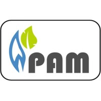 PAM Systems Private Limited logo, PAM Systems Private Limited contact details