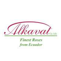 Alkavat Group logo, Alkavat Group contact details