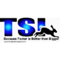 TSI LLC logo, TSI LLC contact details